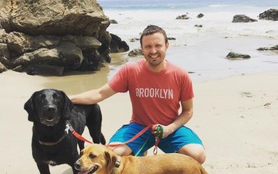 How Long Do Dogs Live? How To Increase Your Dog’s Lifespan